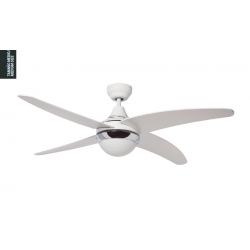 Ceiling Fan With Light BELAIR Sulion