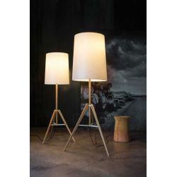 Floor Lamp TRIPOD Carpyen