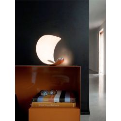 Led Table Lamp CURL Luceplan